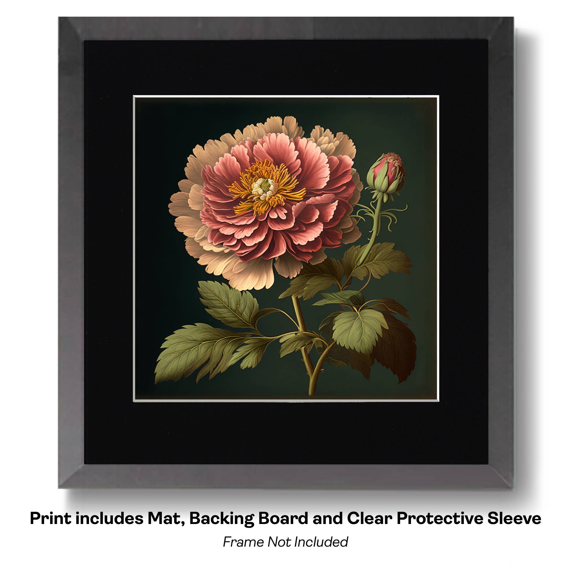 Mowbi - Vendita all'ingrosso Stampa artistica - Fiore Rosa Bicolore Rococò1