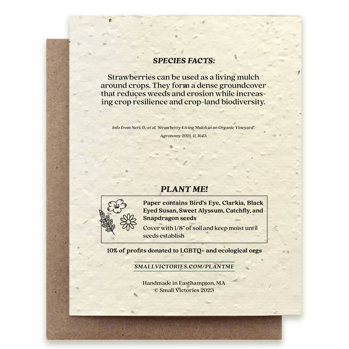 Small Victories - Wholesale Everyday Greeting Card - Strawberry Plantable Wildflower Seed Card
