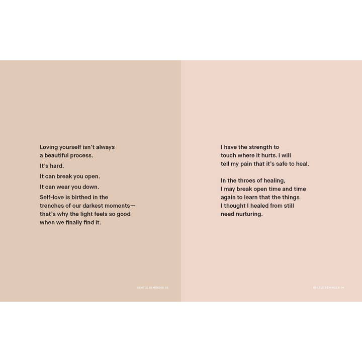 Chronicle Books - Wholesale Self-Help & Personal Development - After the Rain9