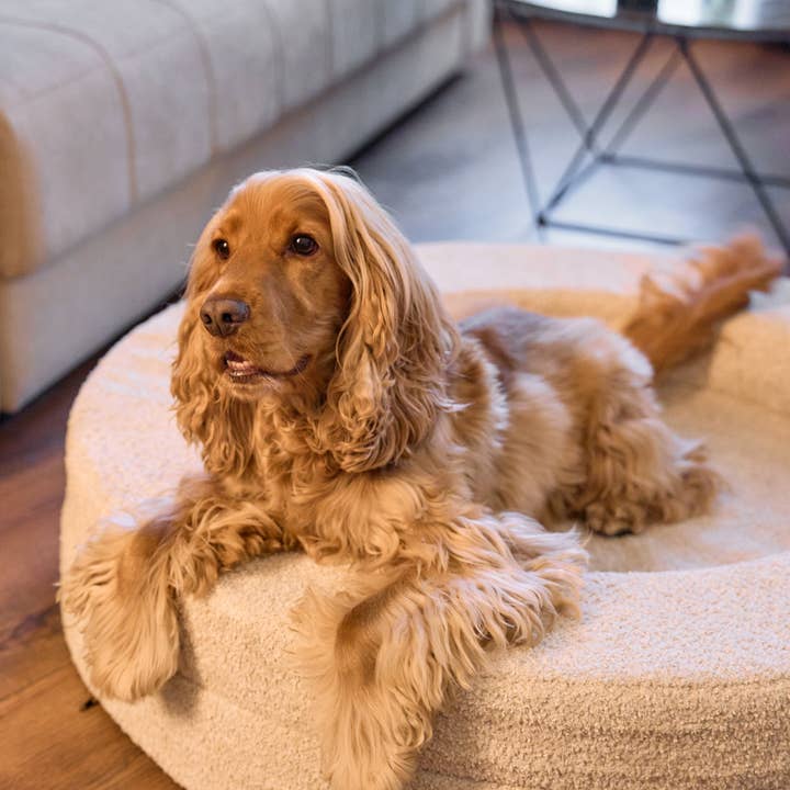 Dukier - Wholesale Pet Bed - Dog - DUKIER DOG BED7