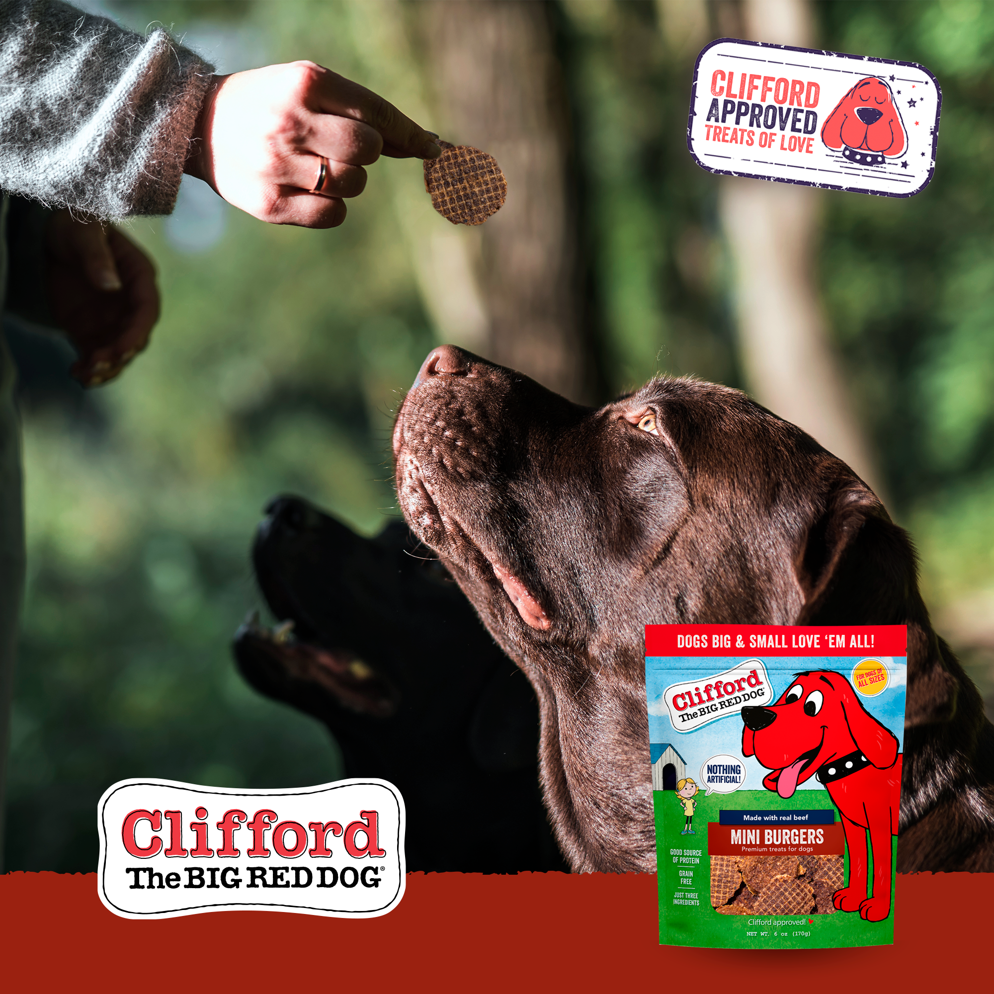 J&C PET SUPPLY LLC - Vente Friandises – chien - Friandises à mâcher pour chiens Clifford The Big Red Dog, 6 oz7