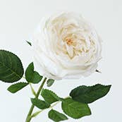 Sweet Home Deco - Wholesale Artificial Flowers - 17''T Faux-Ever Real Touch Rose Spray, Spring Austin Rose