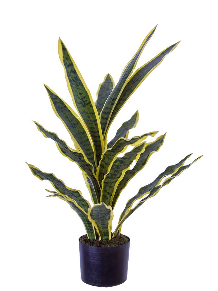 American Best - Wholesale Artificial Flowers - 32" SANSEVIERIA W/POT