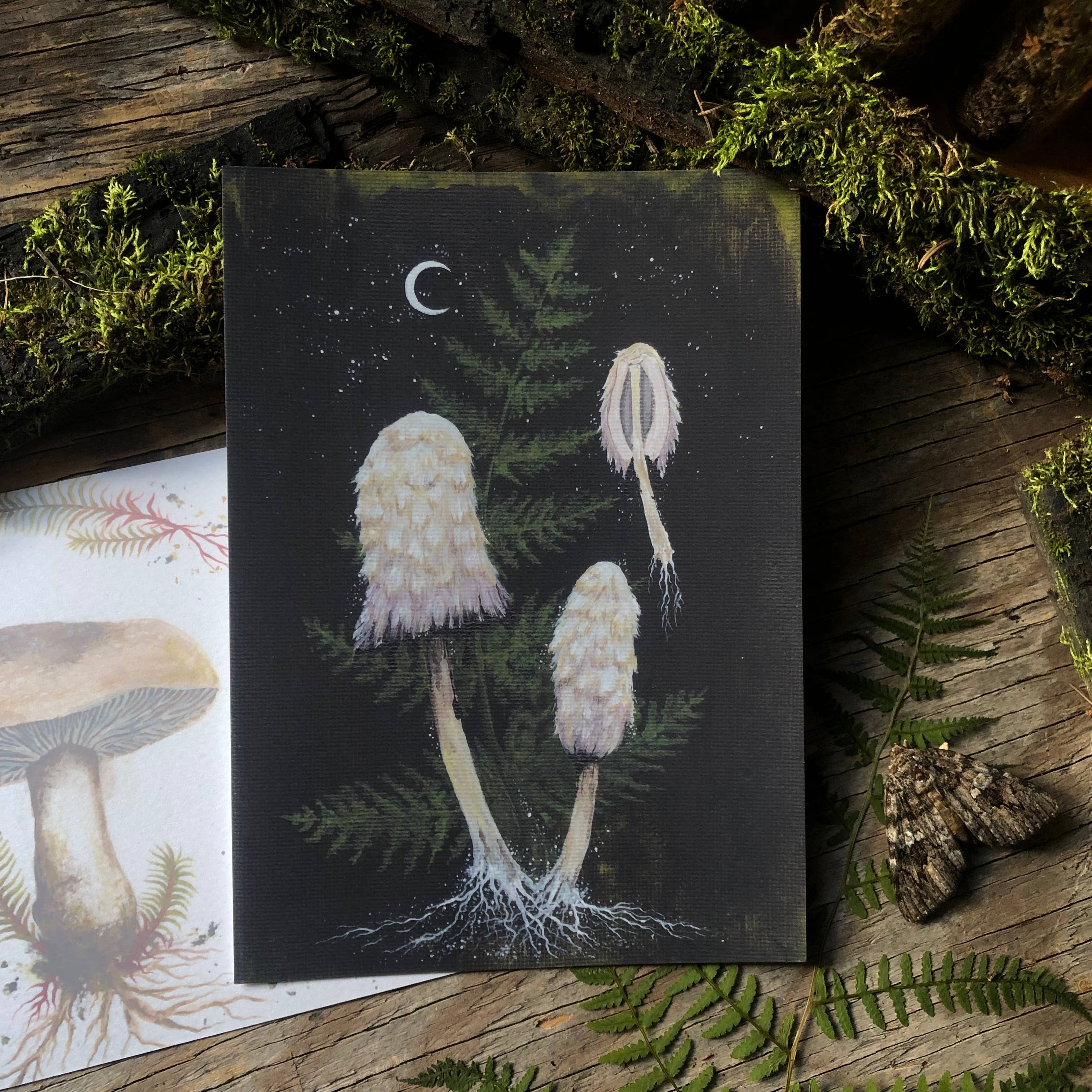 Up Moss Creek Studio - Vendita all'ingrosso Stampa artistica - Cartolina Shaggy Mane 1