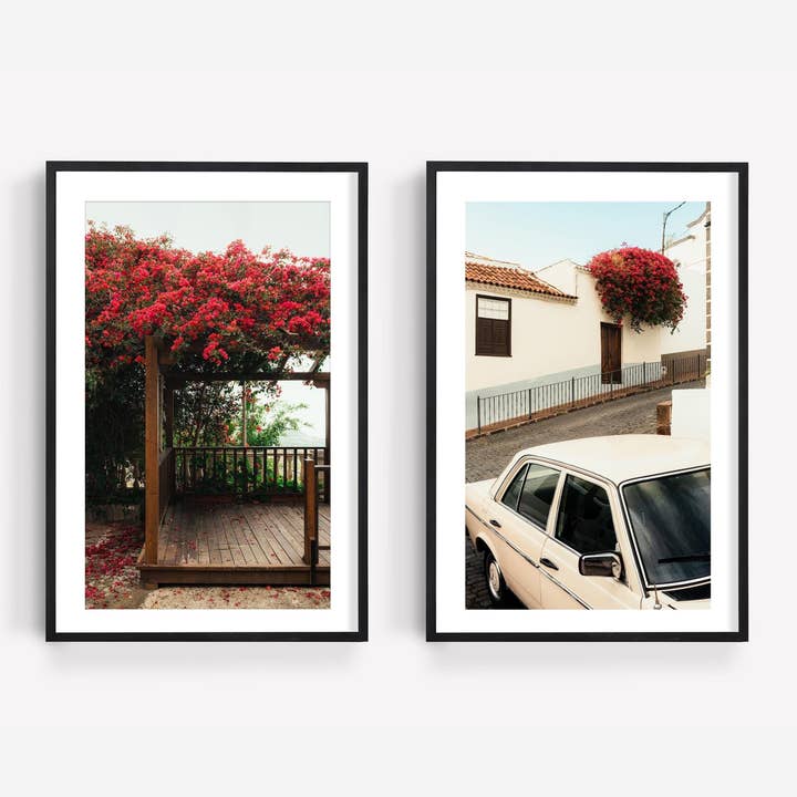 Bougainvillier Classique - Lot de 2 pour la vente par Annie Ambience