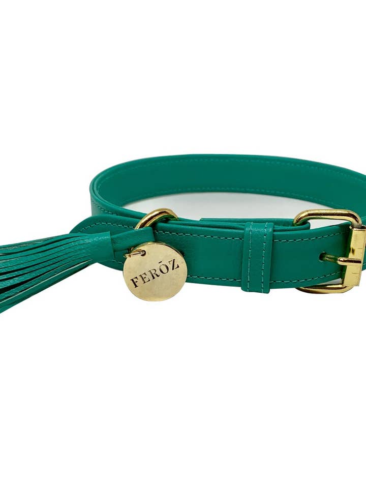 Turquoise hondenhalsband voor wholesale door Feroz - Urban Pet Fashion