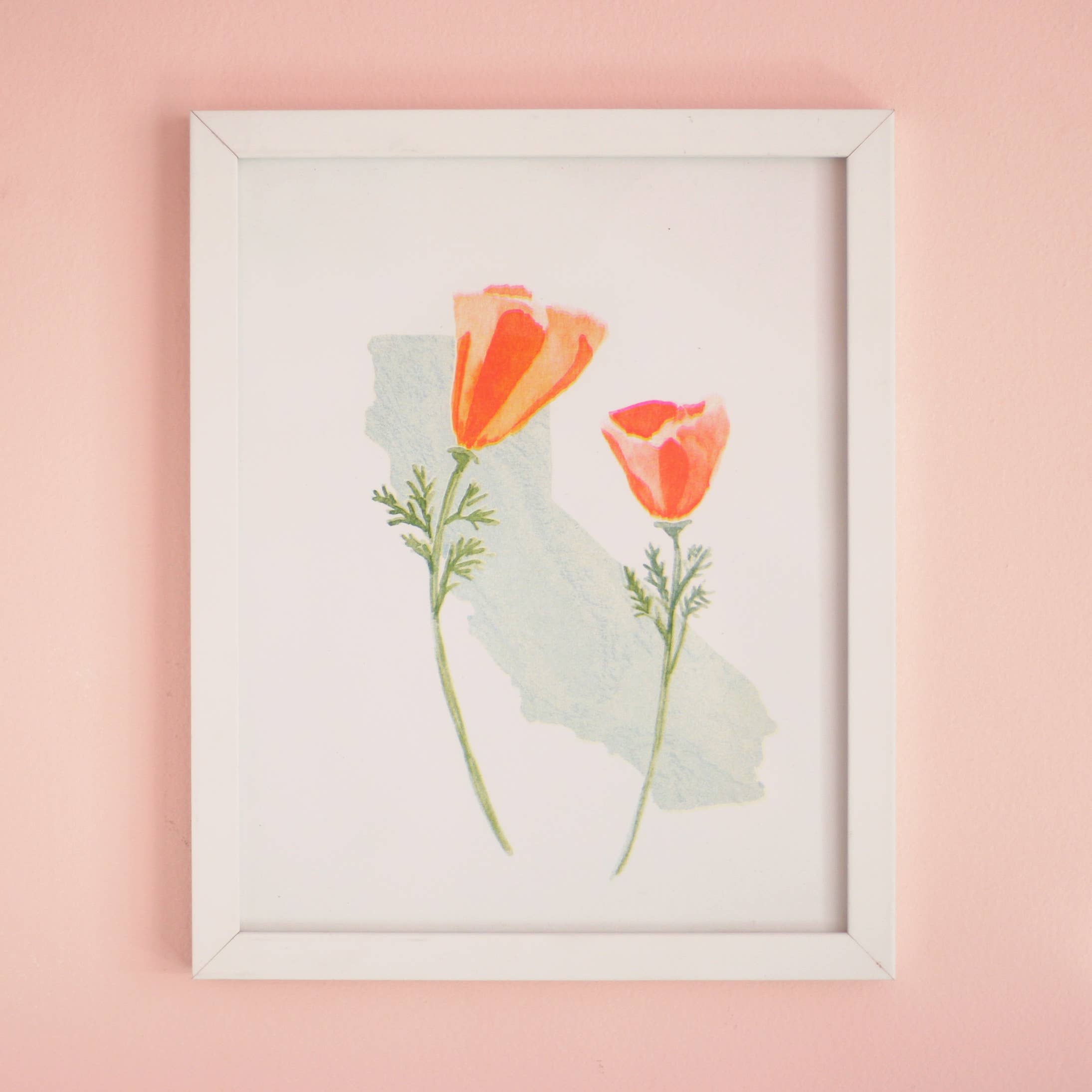 REMOVED BRAND - Wholesale Art Print - California Poppies Art Print  0