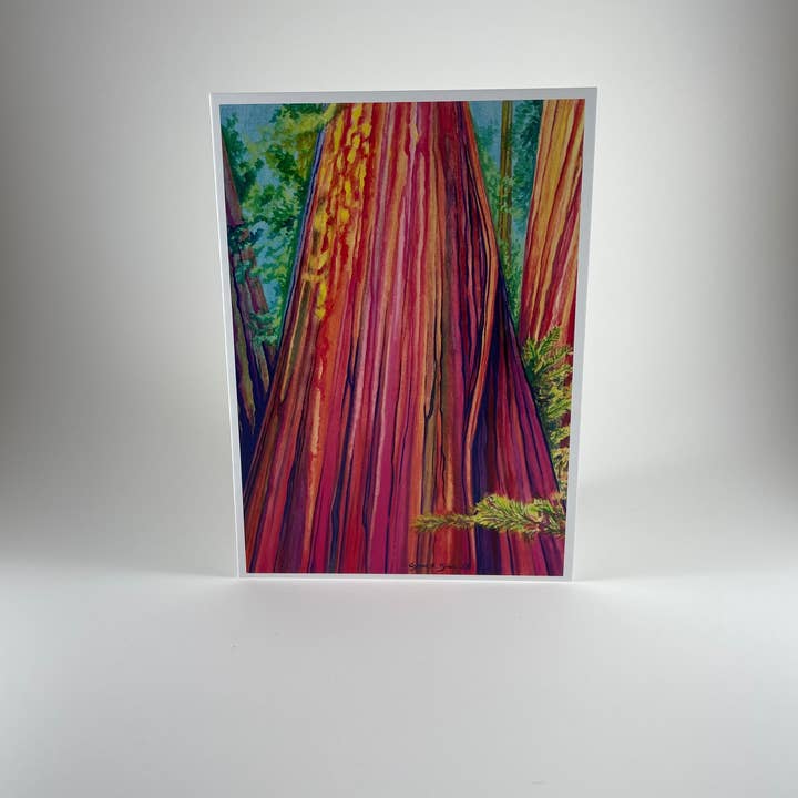 Coastal Redwoods ~ 5X7 Blank Greeting Card for wholesale by Pacific Coast Artisans
