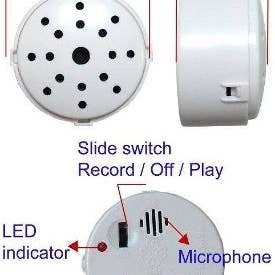 BEARegards, LLC - Wholesale Electronic Toy - Kids & Baby - 20 second recordable voice recorder1