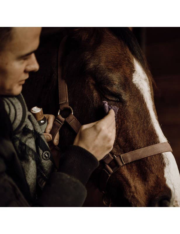 Nellumbo – wholesale Horse conditioner/grooming aid – Discovery care pack for horses3