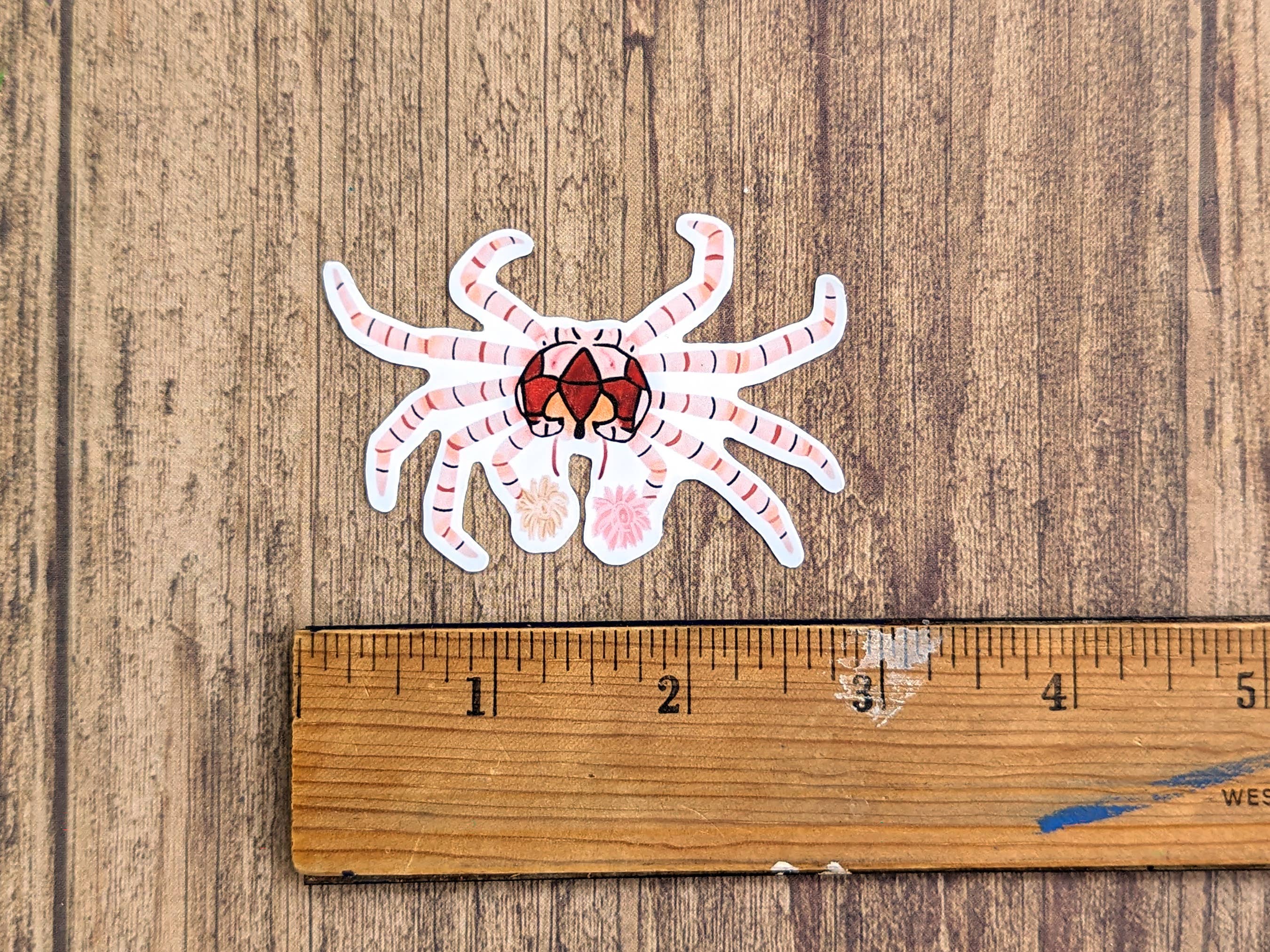 Proper Wolf - Wholesale Sticker - Boxer Crab / Pom-Pom Crab Vinyl Sticker Decal1