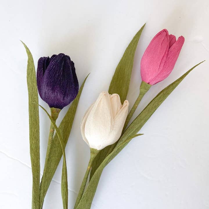 Papercraft Miracles LLC – Großhandel Künstliche Blumen – Tulpe Krepp-Papier-Blume