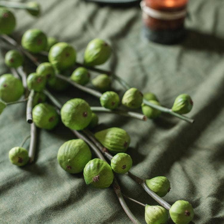 Rustic Reach - Vente Plantes artificielles - Tige de figuier artificielle de 30 po de haut11