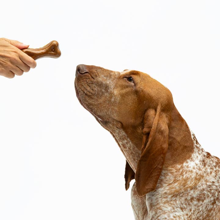 United Pets - Wholesale Pet Chew Toy - Dog - Chewable edible peanut butter flavor M cheese3