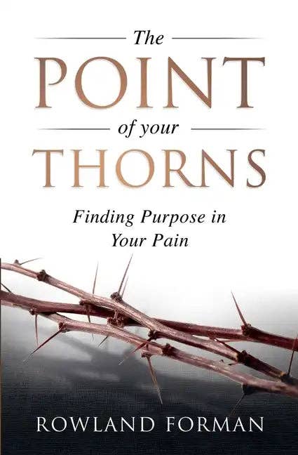 Books by splitShops - Wholesale Religion - The Point of Your Thorns: Finding Purpose in Your Pain - Paperback