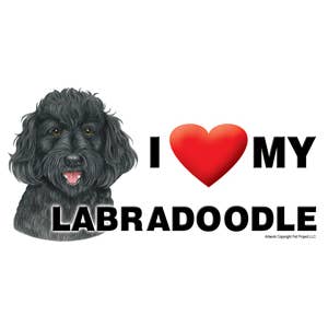 Labradoodle (Schwarz)... I (heart) my - 4 x 8 Zoll Automagnet - für den Großhandel von SJT Enterprises, Inc.