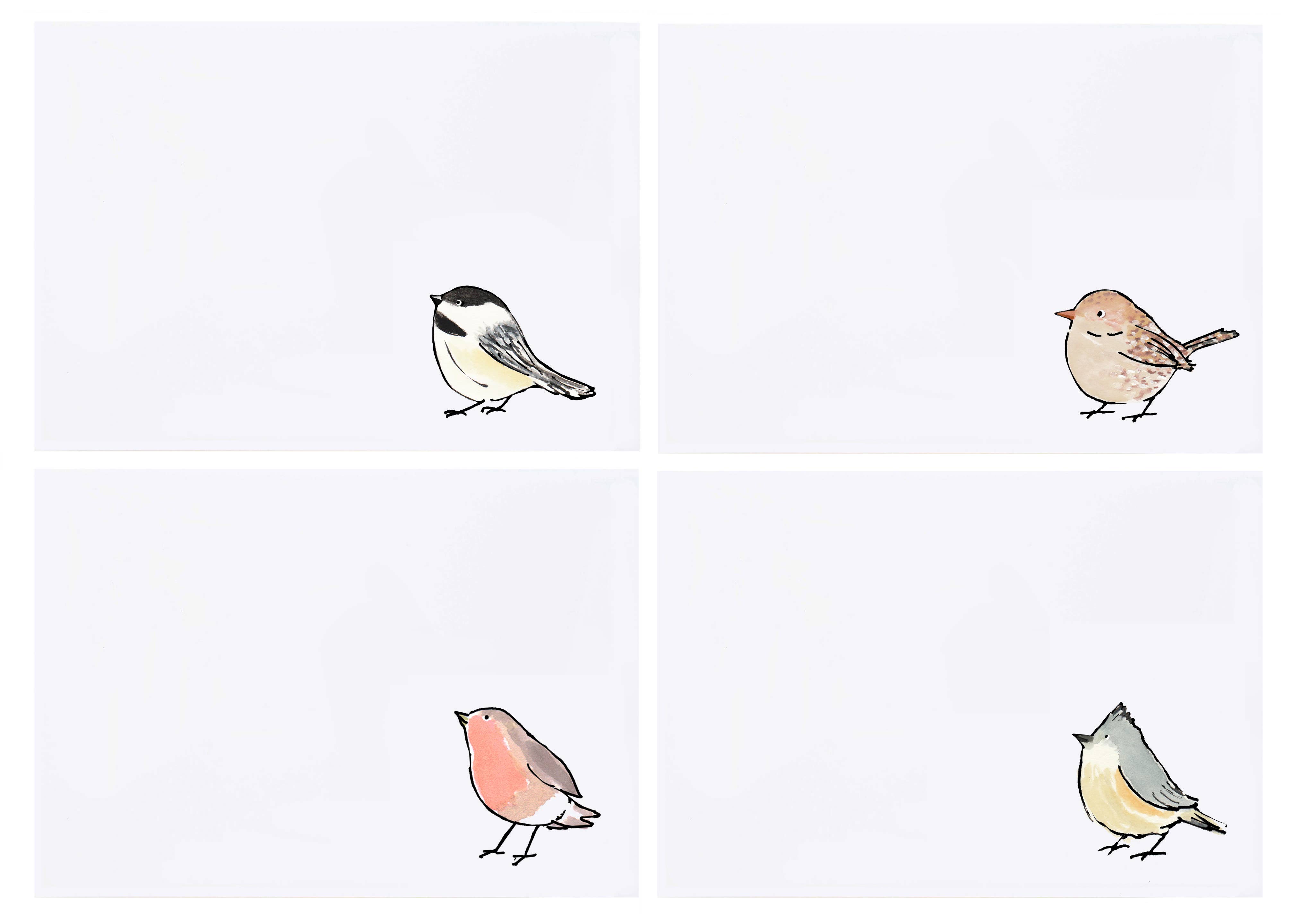 mollyOcards - Wholesale Stationery/Notecard Set - Birds Stationery1