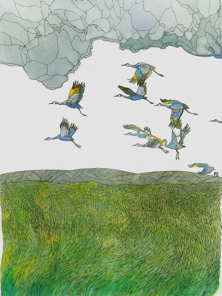 Impression - Grues du Canada pour la vente par Mattie Rose Art