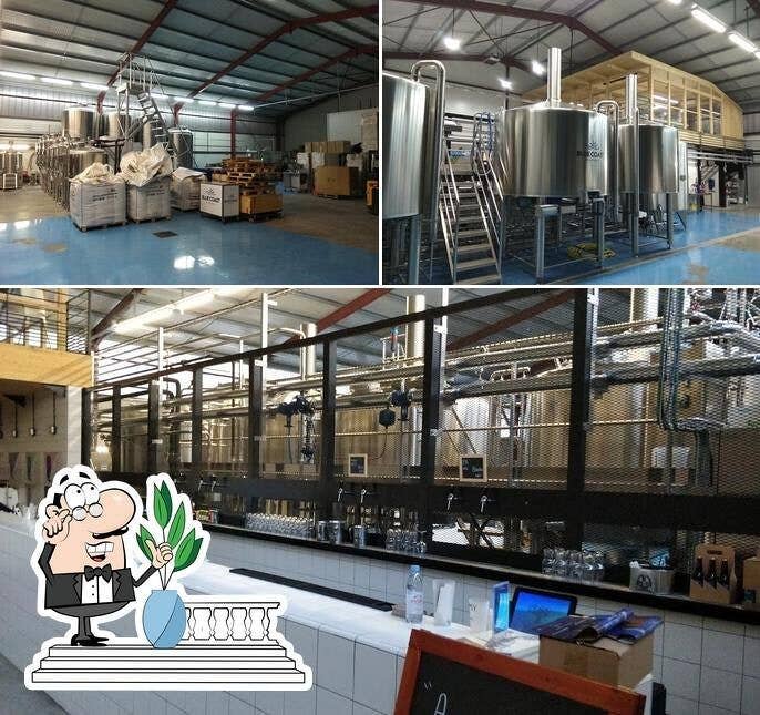 Blue Coast Brewing Company - Venta al por mayor Cerveza sin alcohol - Barril de cerveza artesanal - Rubia sin alcohol - 30L - Cabeza S2