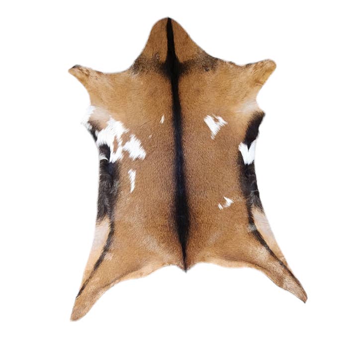 Luises Perez Imports LLC - Wholesale Decorative Tabletop Object - Assorted goat hides0