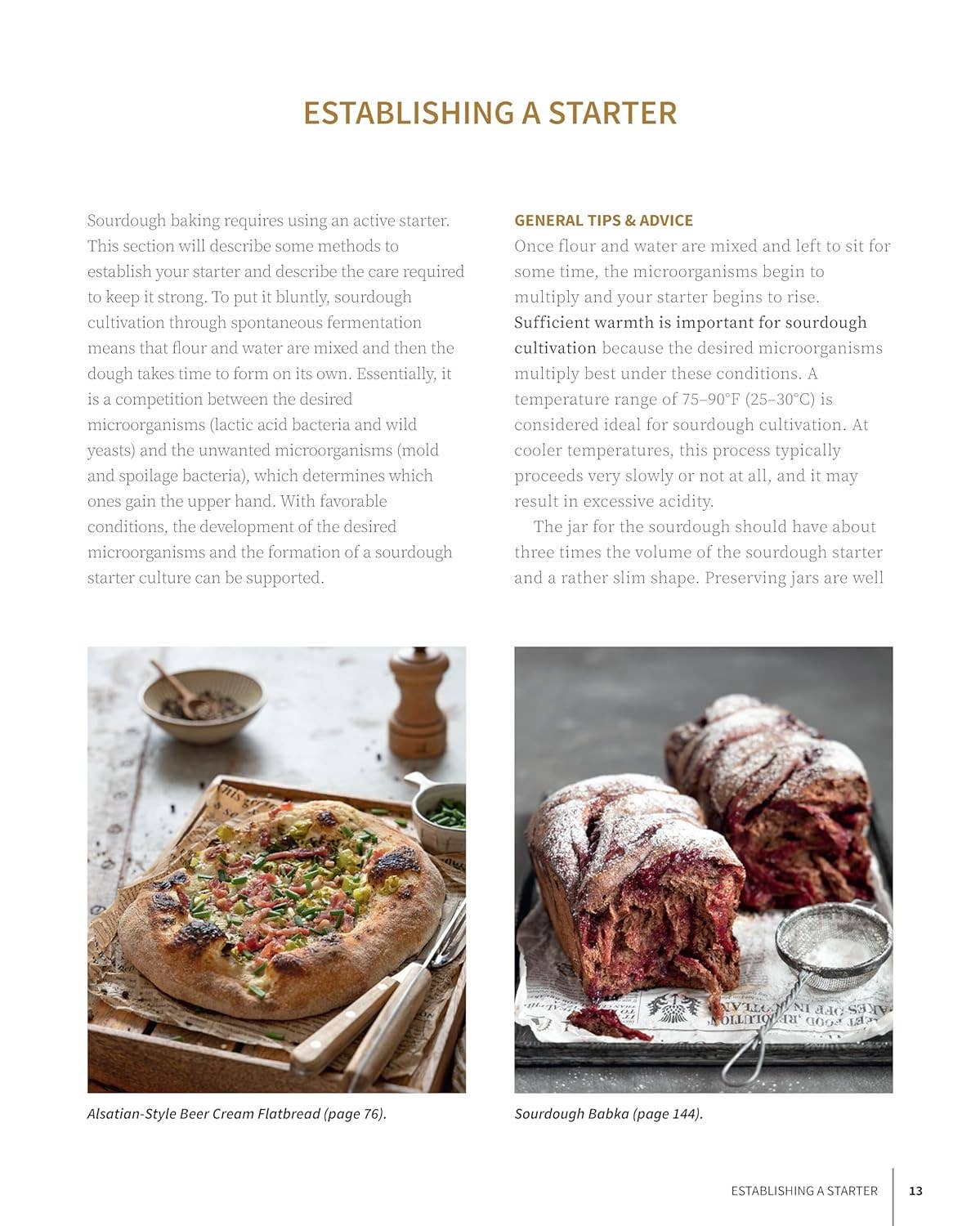 Fox Chapel Publishing - Wholesale Baking & Dessert Book - Artisan Sourdough: Bread and Beyond-Includes Starter Recipes2