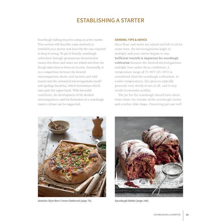 Fox Chapel Publishing - Wholesale Baking & Dessert - Artisan Sourdough: Bread and Beyond-Includes Starter Recipes2