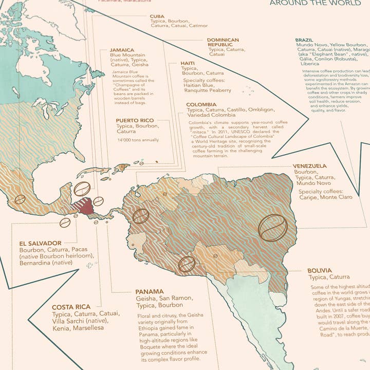 Water & Wines - Wholesale Puzzle - Adult - Coffee Puzzle - World of Coffee7