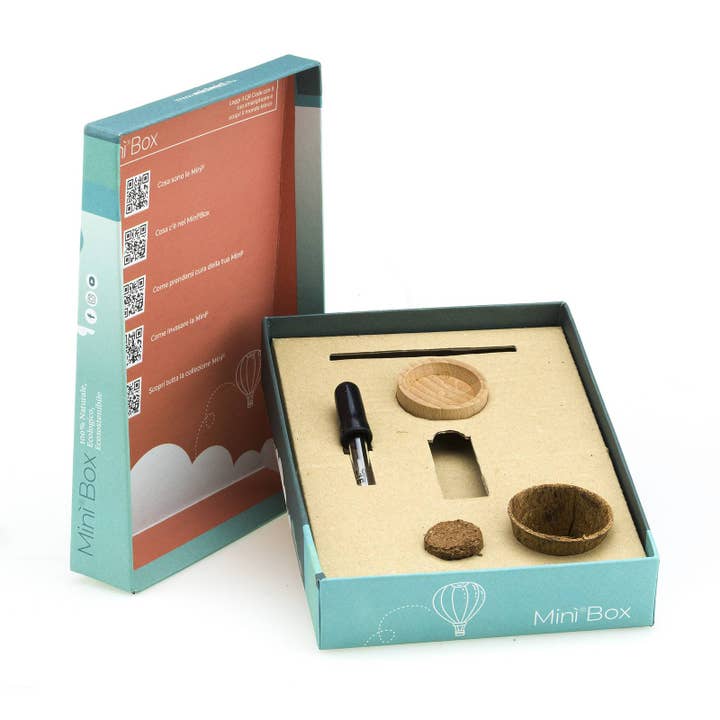 MIN̮Italia di Luigi Paolicchi - Wholesale DIY Craft Kit - MIN̮Box Kit Line (small cactus plants always with you)5