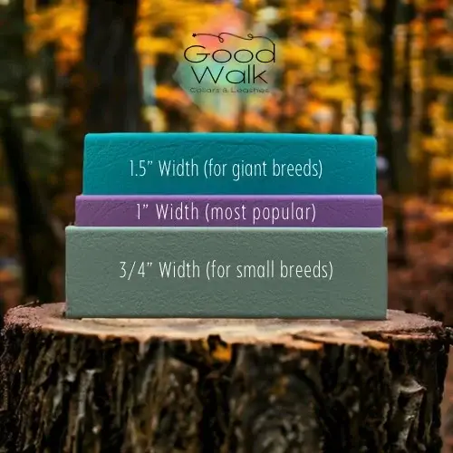 GoodWalk Collars & Leashes | Waterproof Gear for Dogs - Wholesale Pet Leash - Dog - Traffic Lead for Dogs | 6" | BioThane | Waterproof Leash3