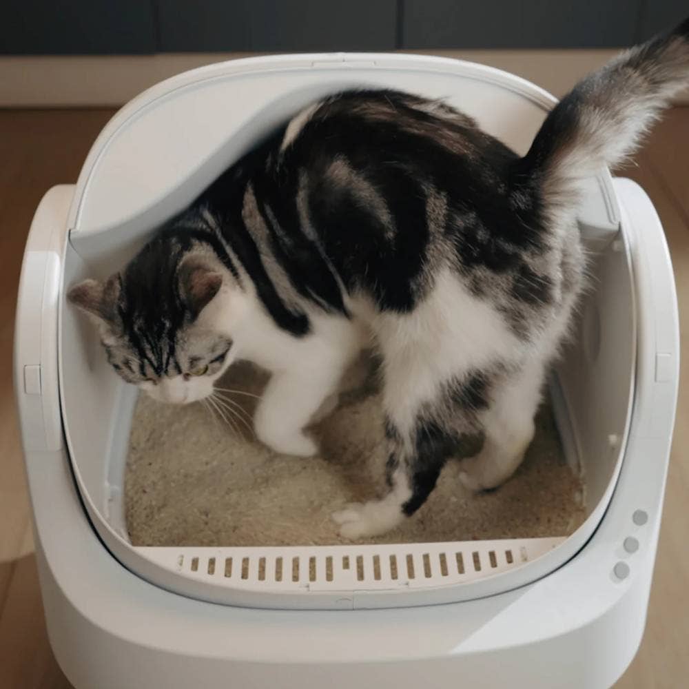 Fresh Whisker - Wholesale  - Pet Pivot Open-Top Self Cleaning Cat Litter Box, Automatic Cat Litter Box2