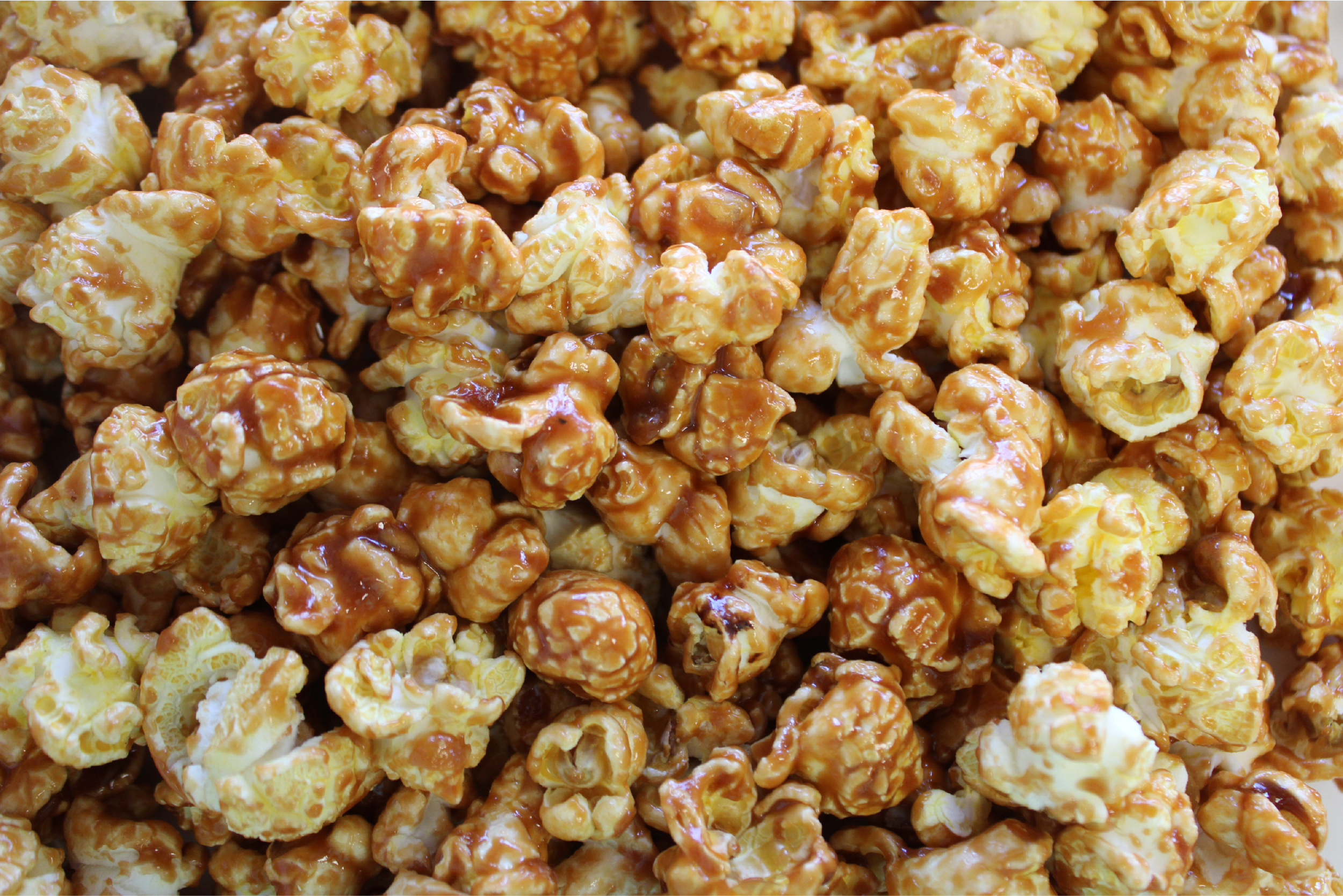 Bear Food - Wholesale Popcorn - Bourbon Toffee Gourmet Popcorn3