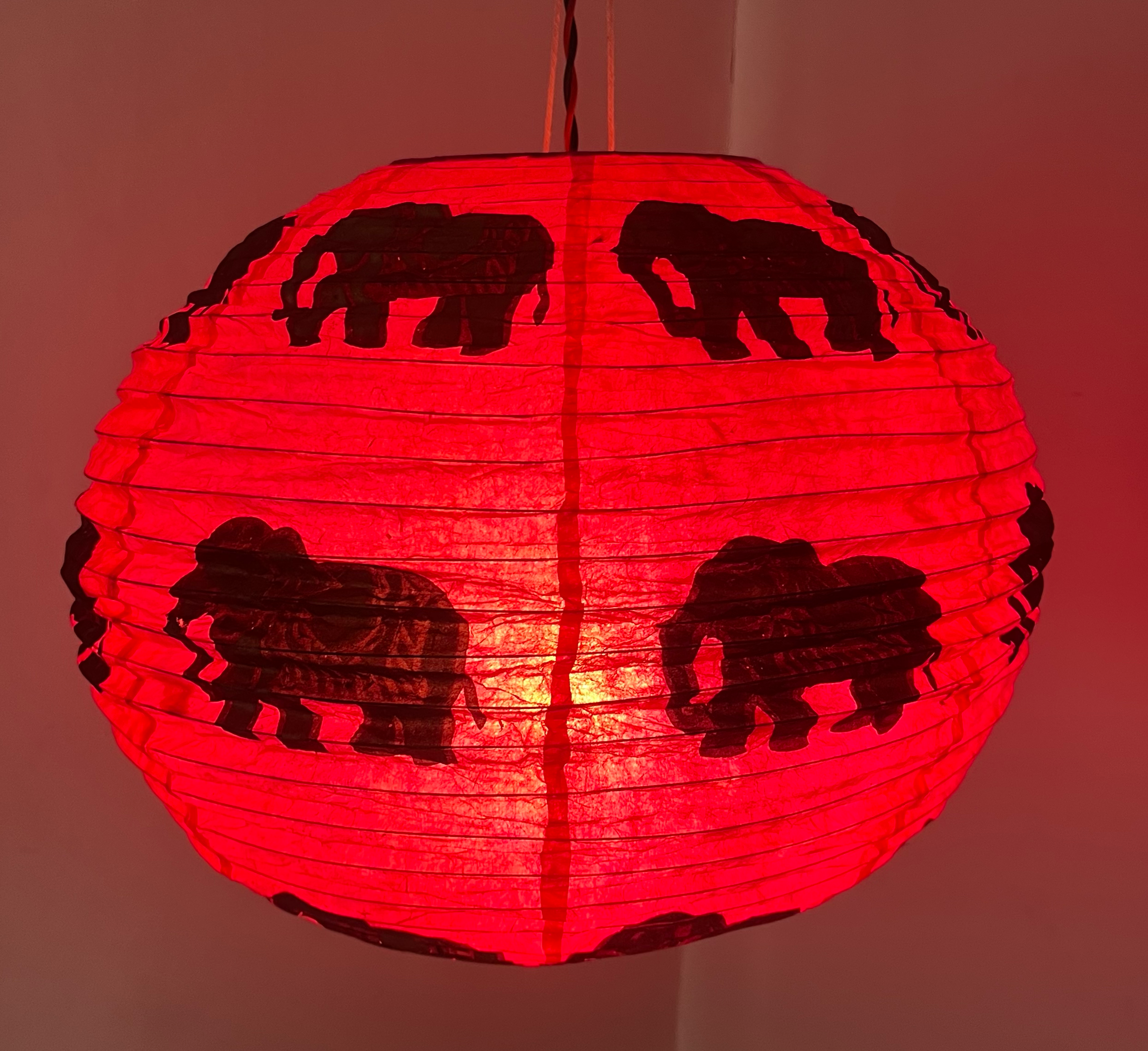 Local Women’s Handicrafts - Wholesale Paper Lantern/Lamp - Lokta Paper Lantern6