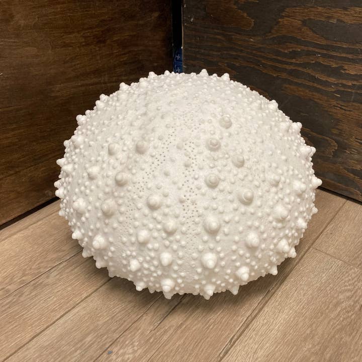 Modern World by Contrast Inc. – wholesale Accent/desk lamp – Sandstone Sea Urchin Lamp