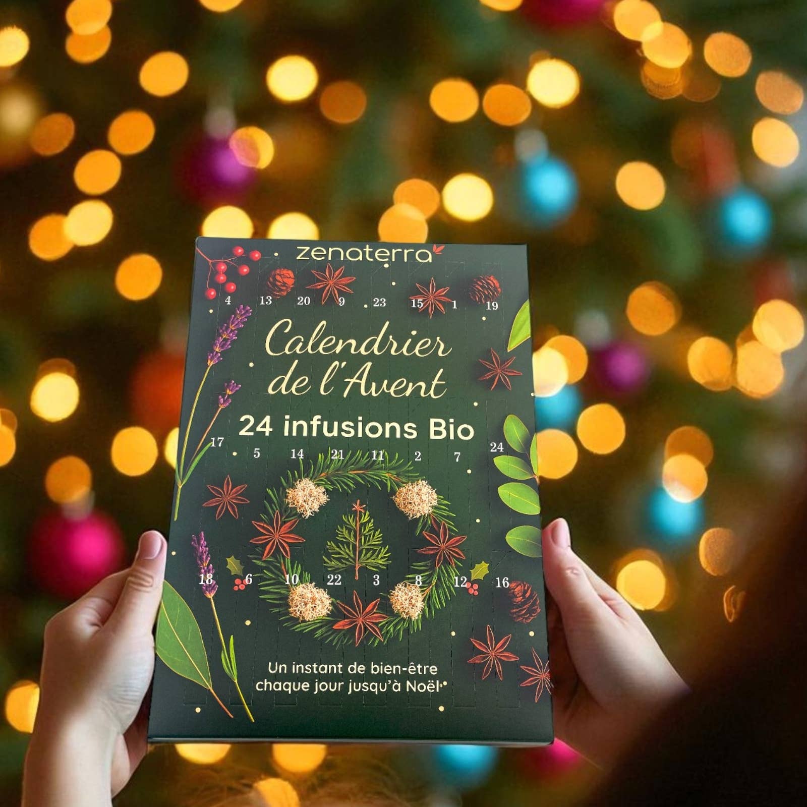 Zen'Arôme - Wholesale Advent Calendar - Advent Calendar 24 Organic Herbal Teas – 100% Natural10
