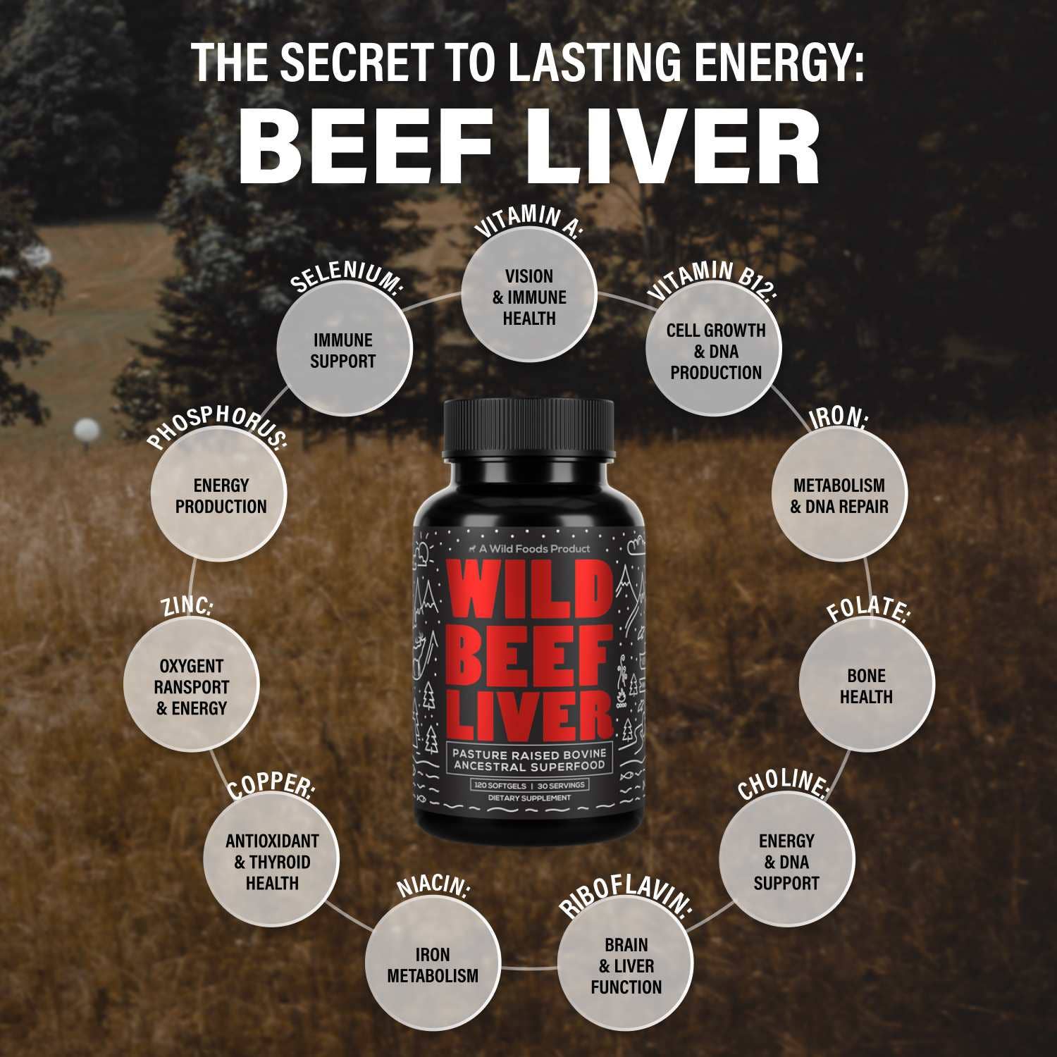 Wild Foods - Wholesale Oral Supplement/Vitamin - Wholesale—Grass-Fed Beef Liver Capsules3