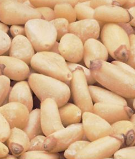 The Nut Garden, Sweetables, Utah Truffles - Wholesale Nuts - Pine Nuts,  (12 oz)2