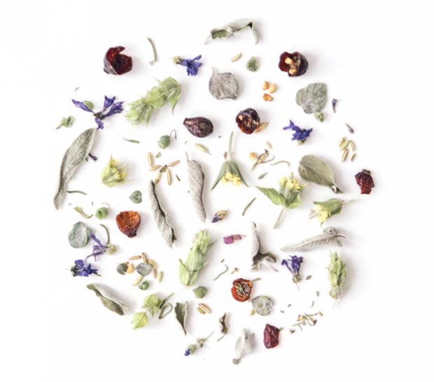 rhoeco - fine organic goods – Sacos de chá por atacado – Big Bags - 100 saquinhos de chá piramidais compostáveis em grande quantidade2