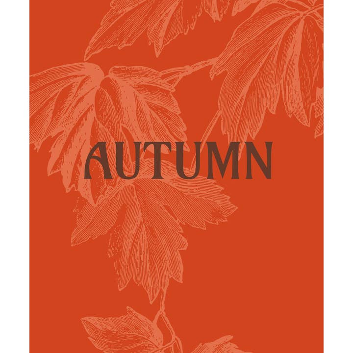 Abrams - Wholesale Arts & Entertainment - Autumn