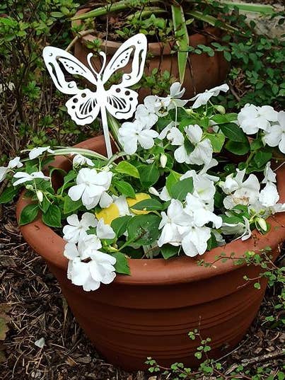 Schöner pflanzbarer Schmetterling für den Großhandel von IDfer