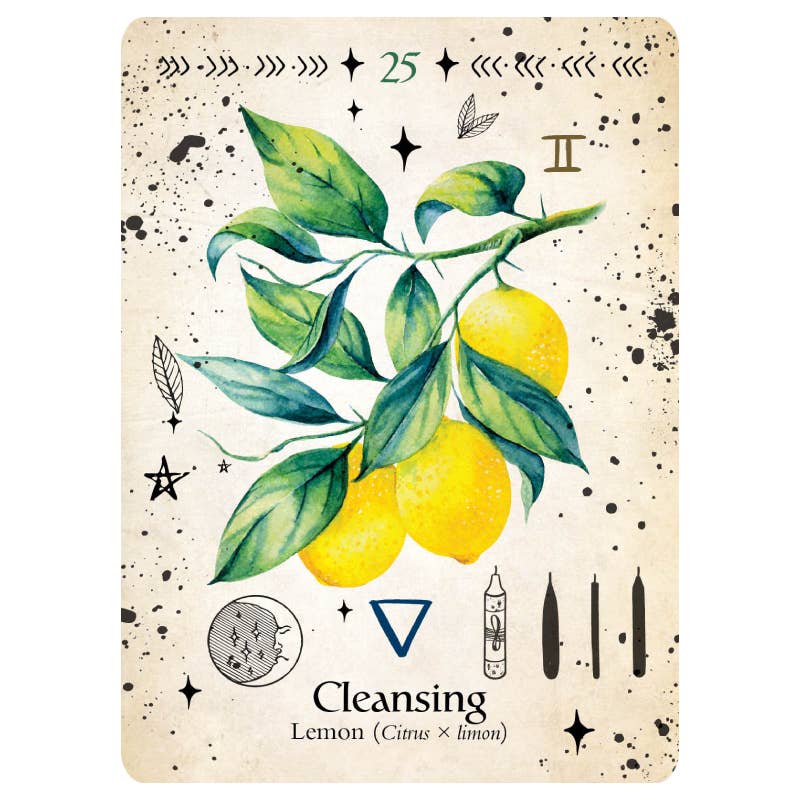 Cardshouse – wholesale Tarot cards – Green Witch Oracle Cards Rockpool6