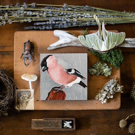 Pink Finch for wholesale by Joseph Bradley Studio
