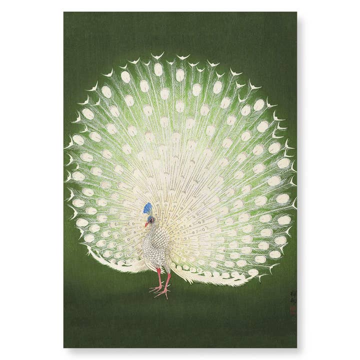 WHITE PEACOCK: Japanese Art Print for wholesale by Ezen Trade