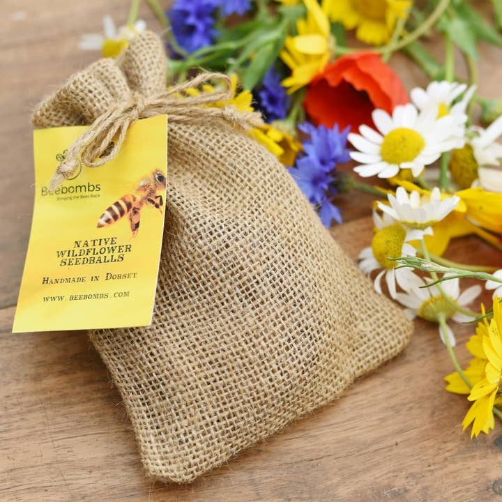 Bee bombs - Native Wildflowers for wholesale by Hello! Playdough!