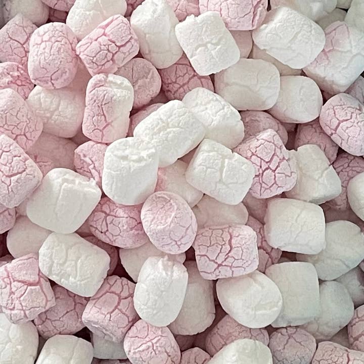 Sci-Fi Foods Gevriesdroogde Mini Marshmallows 250 g Zak voor wholesale door Sci-fi Foods