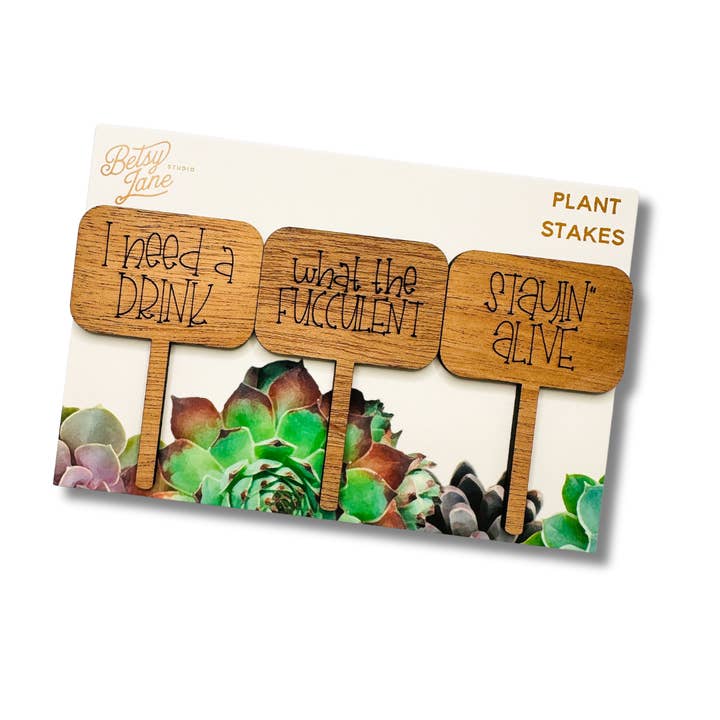 Need a Drink Succulent Pack for wholesale by Betsy Jane Studio