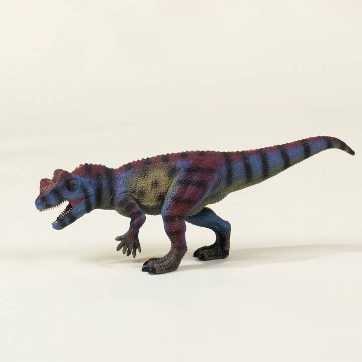 Coco Village - Wholesale Figurine Toy - Kids - Ceratosaurus Dinosaur in a Collectible Box5