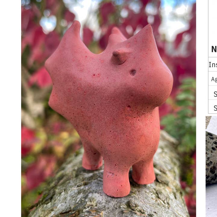 Dragon Inquiet Tenace pour la vente par CURED