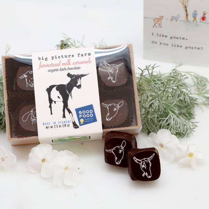 Chocolate Covered Goat Milk Caramel | 6 Piece Set Chocolate Covered Goat Milk Caramel | 6 Piece Set
