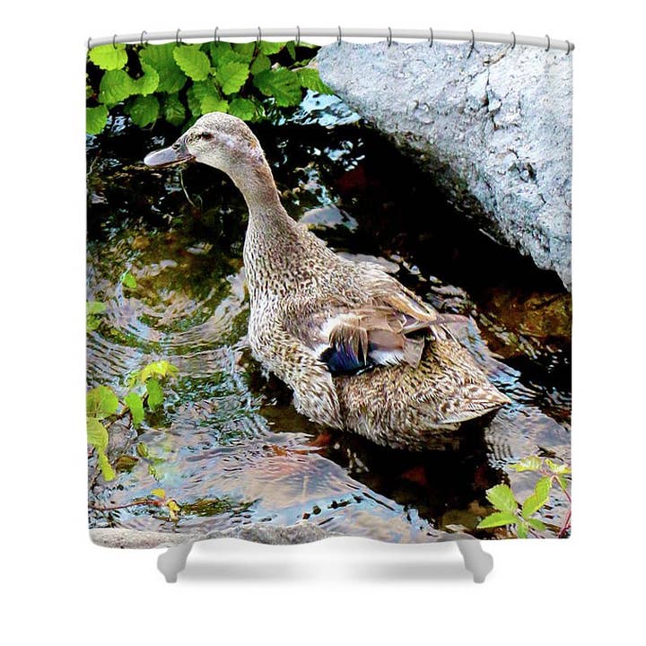 HET INDRUKWEKKENDE DOUCHEGORDIJN VOOR WATERVOGELS VAN ANATIDAE voor wholesale door sorayadapuzzostore