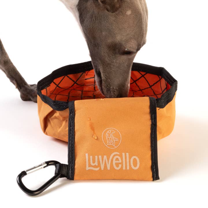 Fold-Up Travel Water Dish for wholesale by LUWELLO, LLC